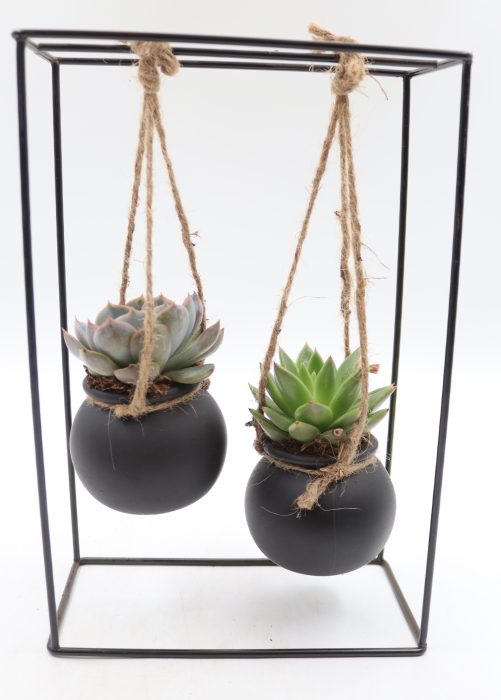 Rek Zwart duo glas zwart, D 20