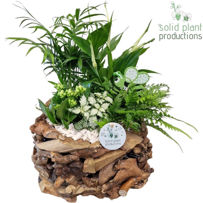 SC013 Driftwood Round White, D 31