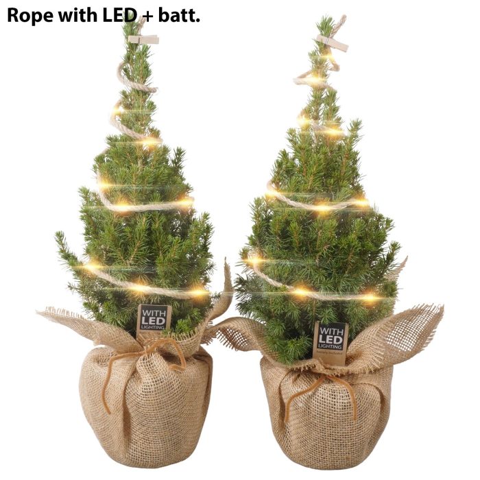 PTK26319 Conica Perfecta in jute met LED, D 13