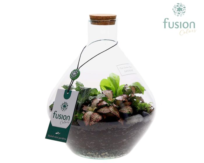 Terrarium John Small met arrangement, D 19