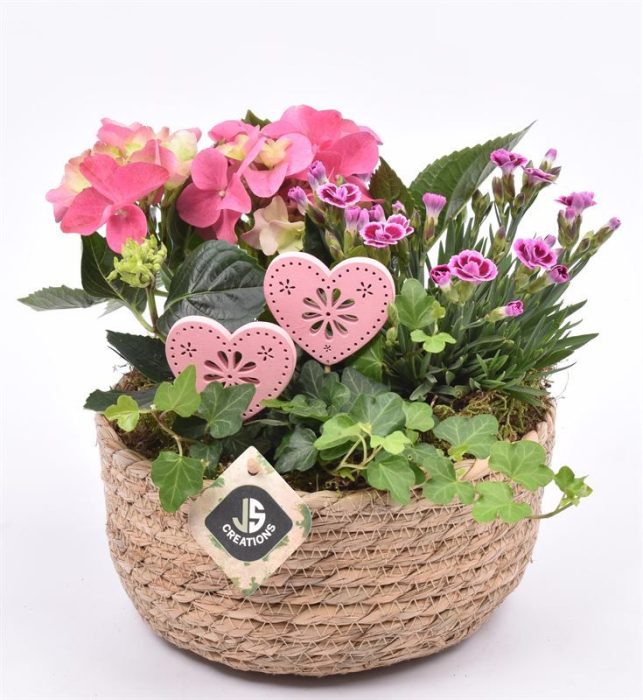 Touwmand laag 19,5cm, D 20