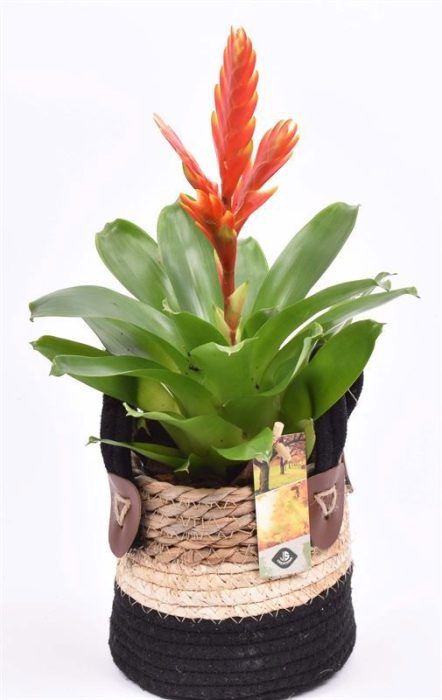 Touwmand met leerhand. zwa/wi 14cm, D 14