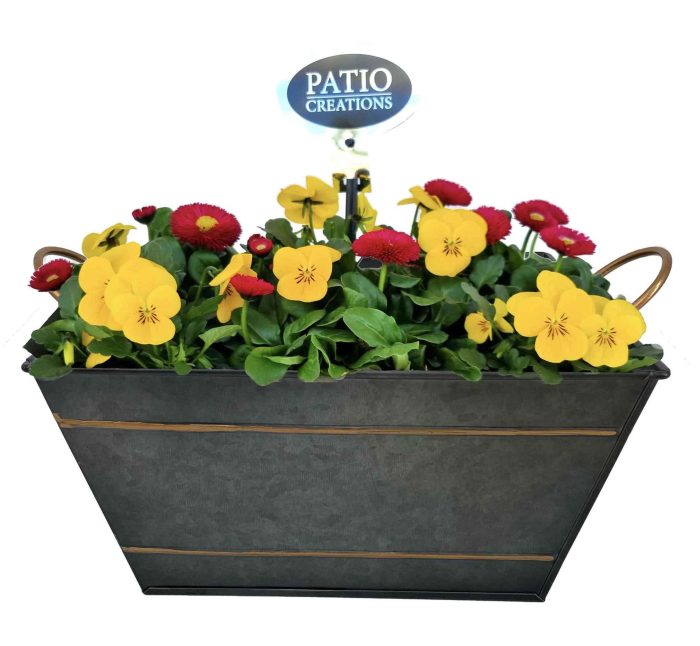 VB840-9006 Viola-Bellis Sterre zink vierkant, D 23