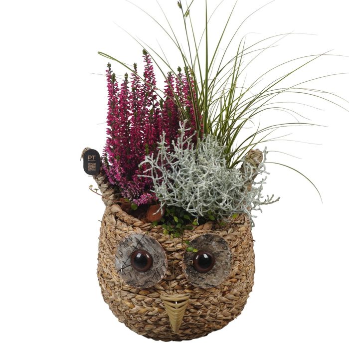 PTHO7639 Arrangement Autumn Outdoor in rieten mand in uil vorm, D 19