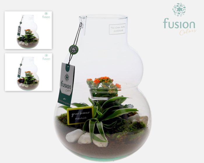 Green Bottle Olaf Medium met Grootmoederdag arrangement, D 21