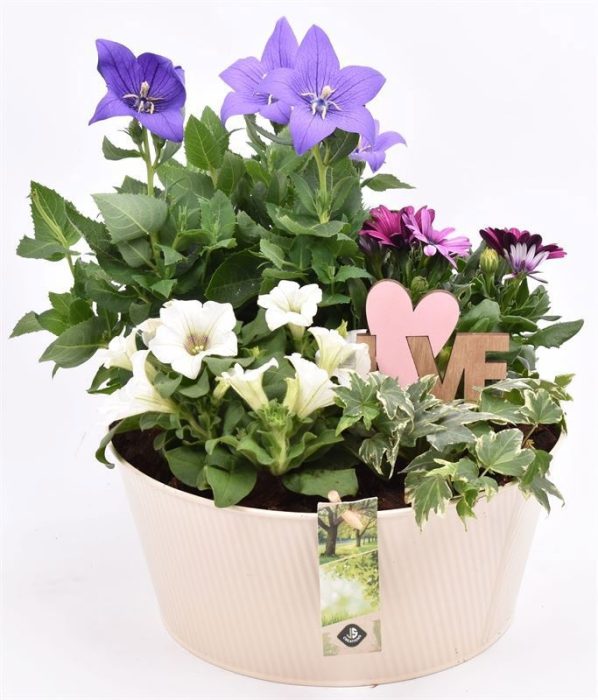 Zink schaal ribbel creme 25cm, D 25