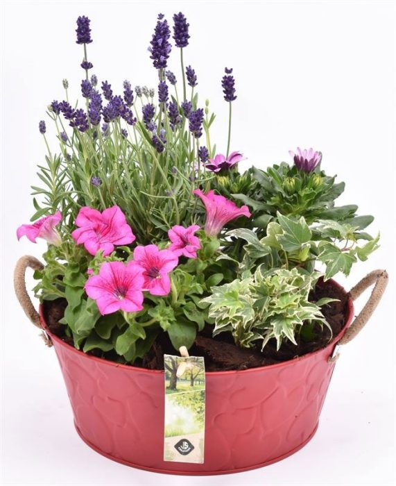 Zink schaal rood hart decor 25cm, D 25