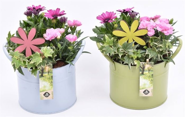 Zink ton kl.mix 15cm, D 15